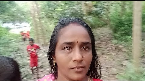 Enga Aaya Tata paduvaikku poroma neengalum parunga pakkalameri irukkira@tamilammu4903 #like 🫒🌳🌴🌿