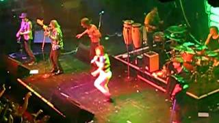 American Wedding Von Gogol Bordello Laut De Song