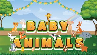 Baby Animals | Young Ones of Animals | Names of Animals and Their Young Ones for Kids