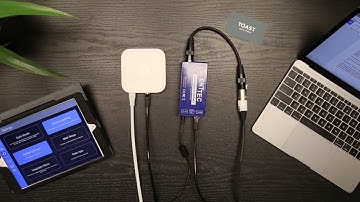 Vibrio - Setup Tutorial