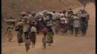 World Disaster Report 1995