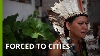 Evicted Indigenous residents fight to reclaim the Monte Horebe settlement in Manaus, Brazil