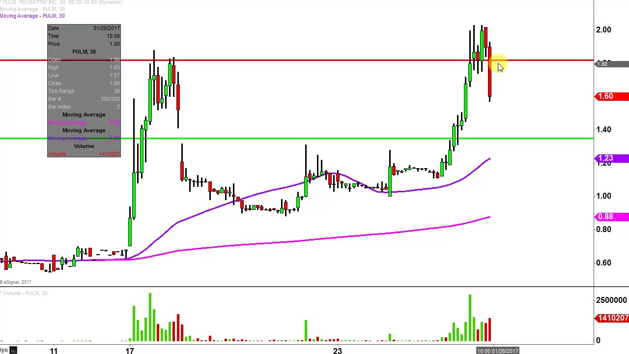 Pulm Stock Chart