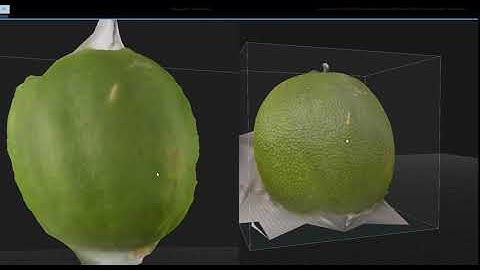 Photogrammetry test - full body scan vs close up hand-held shots