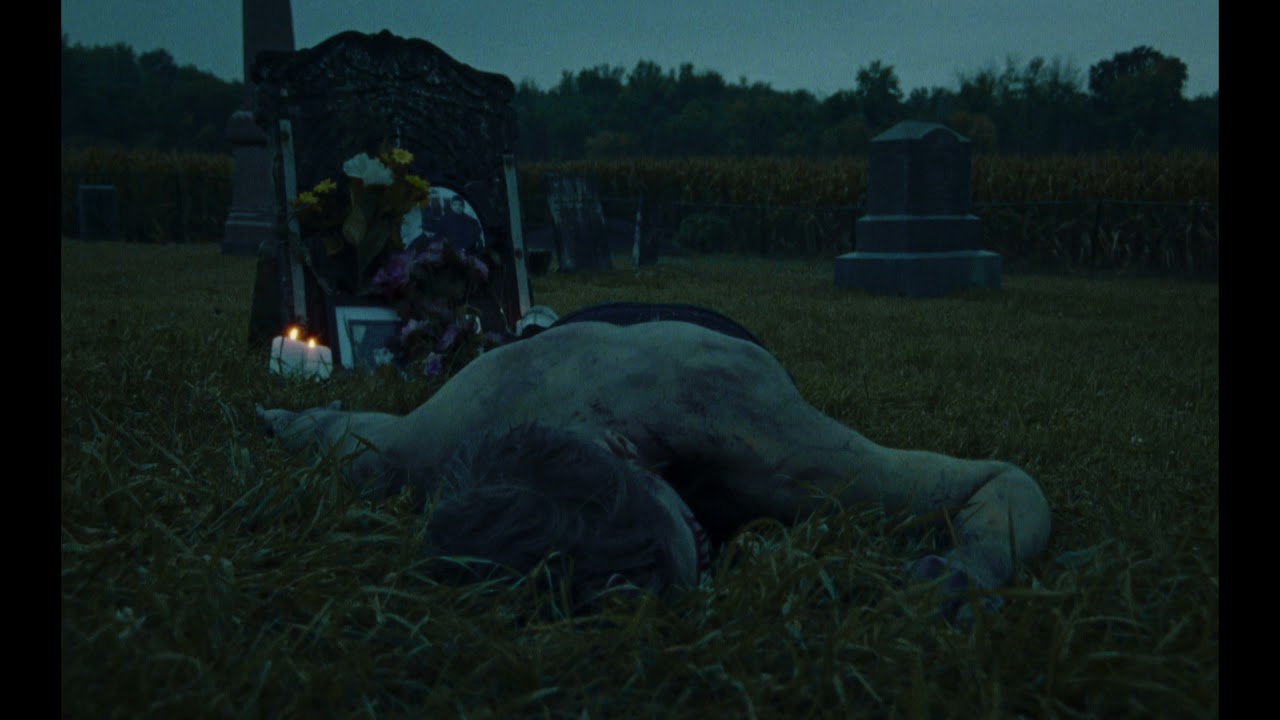 PL & Wheelie - WOOPA - TEASER