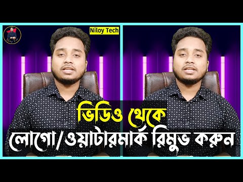 ভিডিও: কেপ কডের ওয়াটার উইজ - ম্যাসাচুসেটস ওয়াটার পার্ক