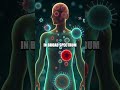 Nanobots: Transforming Drug Delivery Systems