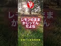 【斎藤一人さん】幸せにする努力 #斎藤ひとりさん #ひとりさん
