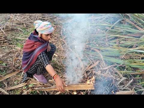 जब हम जंगल पहुंच तो इस बेचारे के साथ क्या हुआ है #myvlog #viralvideos #youtuber