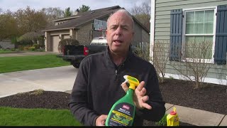 Pat Sullivan shares lawn and garden treatments you can start now