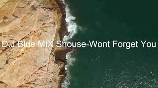 Shouse_-_Wont_Forget_You_ by DJ Blue Mix - [2022]  [New Mix]