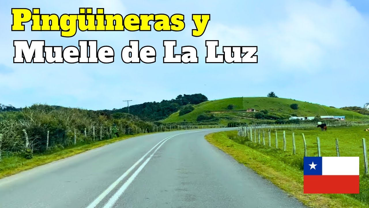 MANEJANDO POR CHILOÉ 🇨🇱 - Parte 7 - Pingüineras de PUÑIHUIL y Muelle de la LUZ 🐧🌳🌊🛣️ 
