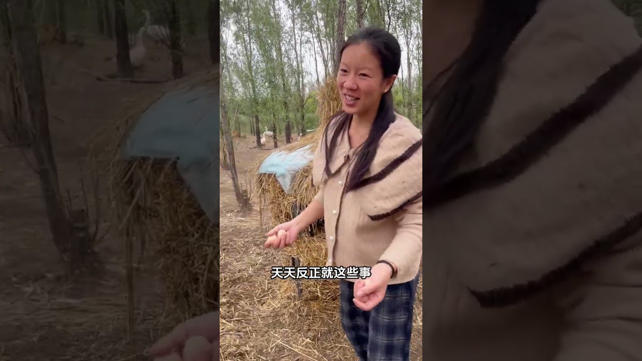 #记录生活 #抖音助农 #散养土鸡蛋 #正宗土鸡