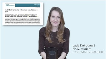 Video abstract for Kohoutová et al. (2022) Nature Neuroscience