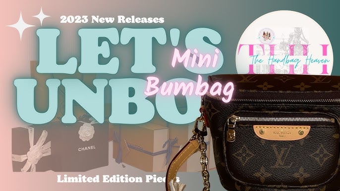 ALL ABOUT THE NEW LOUIS VUITTON MINI BUMBAG **SNEAK PEEK**RELEASING SUMMER  2023 