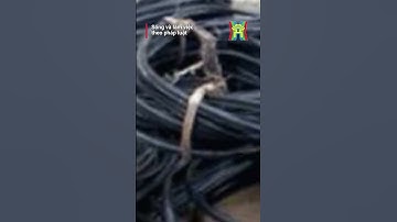 Khởi tố đối tượng trộm cắp dây cáp điện #shorts #phapluat #hanoionline