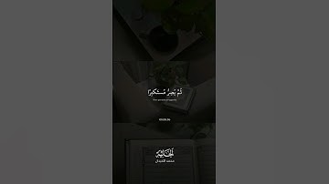 ويل لكل أفاك أثيم ] القارئ : محمد اللحيدان ] اترك لك اثر