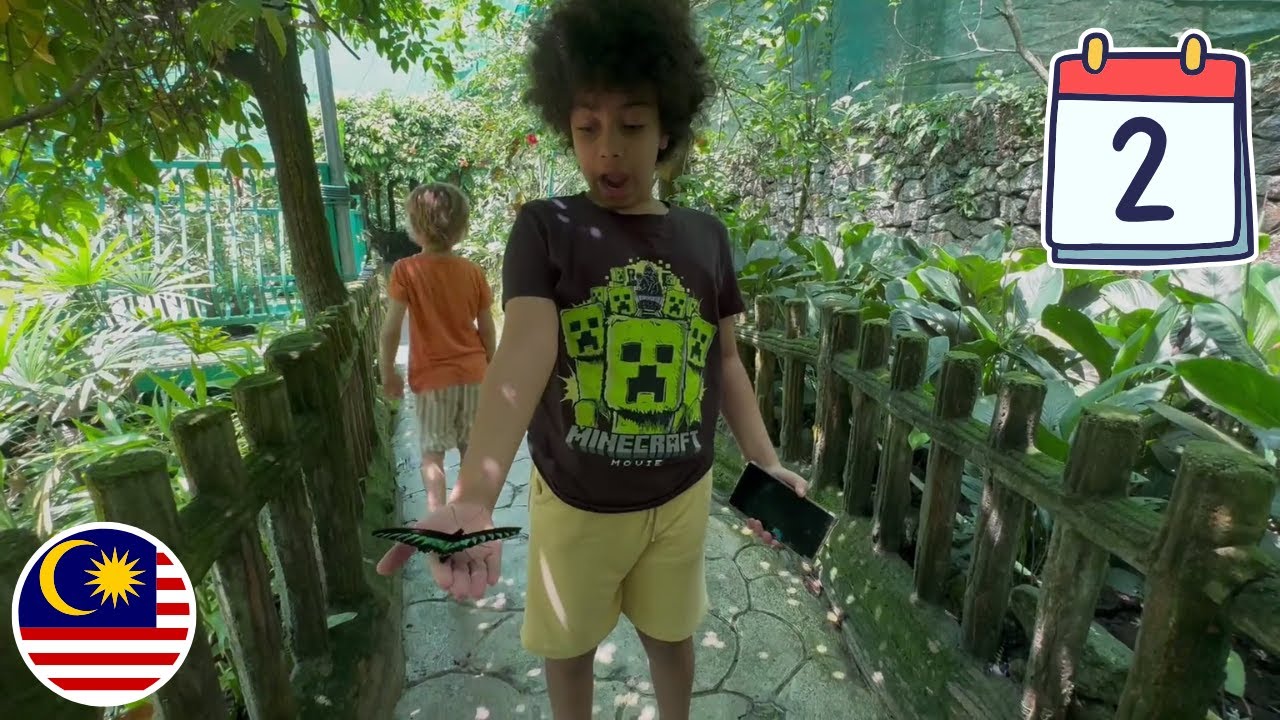 Куала-Лумпур, день 2, Сад бабочек, Художественный музей, Центральный рынок — Агент Салман