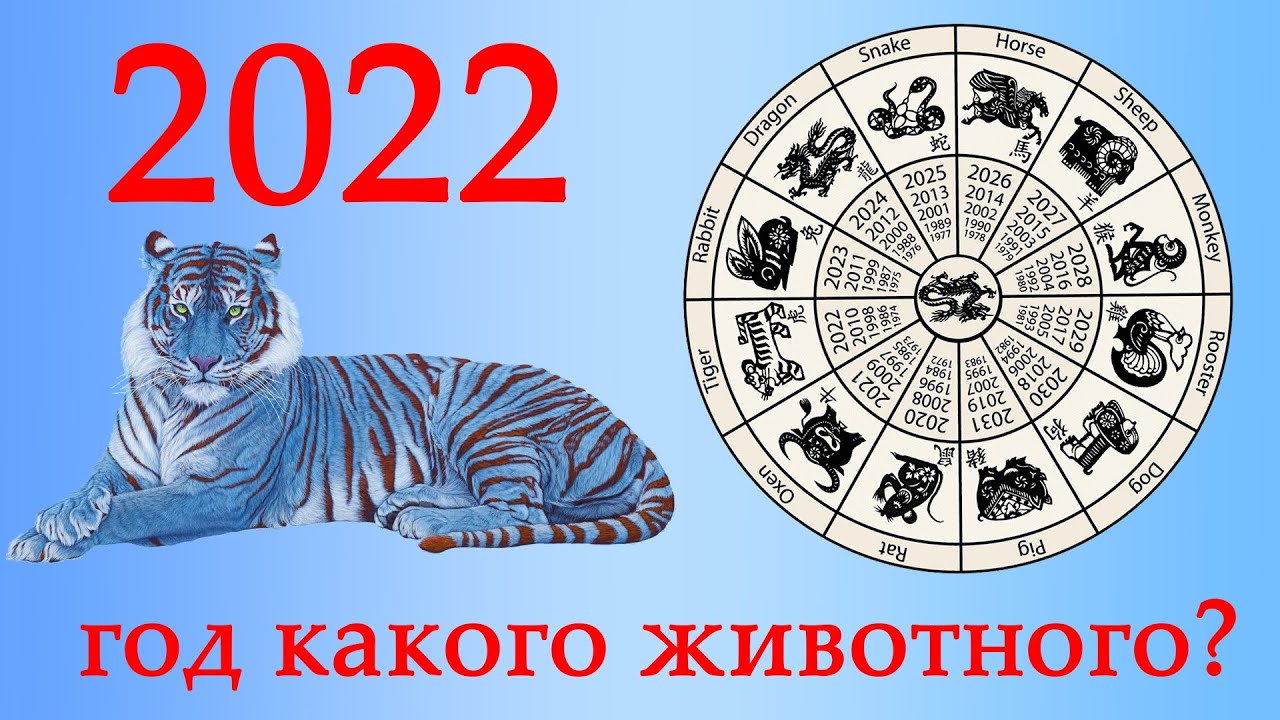 Чей Был Год 2023 По Гороскопу