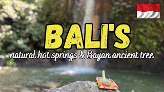 Bali’s natural hot springs and Bayan ancient tree, Bali road trip, best of Bali, Indonesia #32vlog