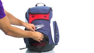 speedo teamster 35l large backpack