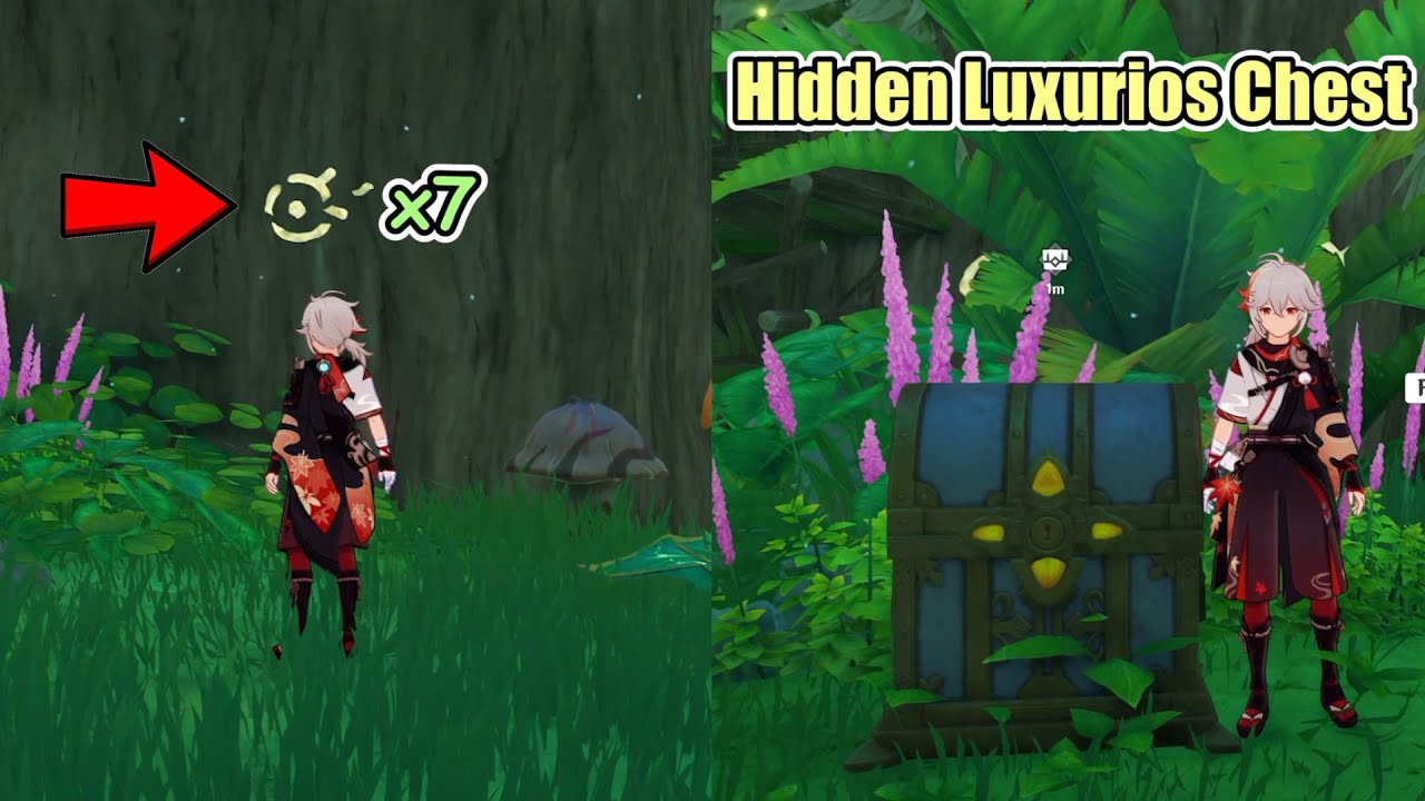 7 Symbols in Apam Woods | Genshin Impact