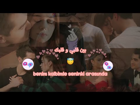 إليسا بين قلبي وقلبك فريد سيران مسلسل الطائر الرفراف   