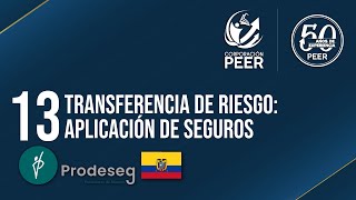 13 TRANSFERENCIA DEL RIESGO APLICACIÓN DE SEGUROS / PRODESEG