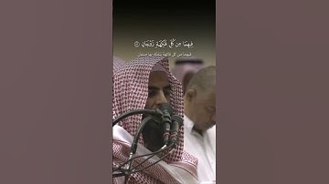 سورة الرحمـٰن {٥٠ ٥٣ فِیهِمَا عَیۡنَانِ تَجۡرِیَانِ } القارئ #محمد_اللحيدان حفظة العزيز#quran #قرآن
