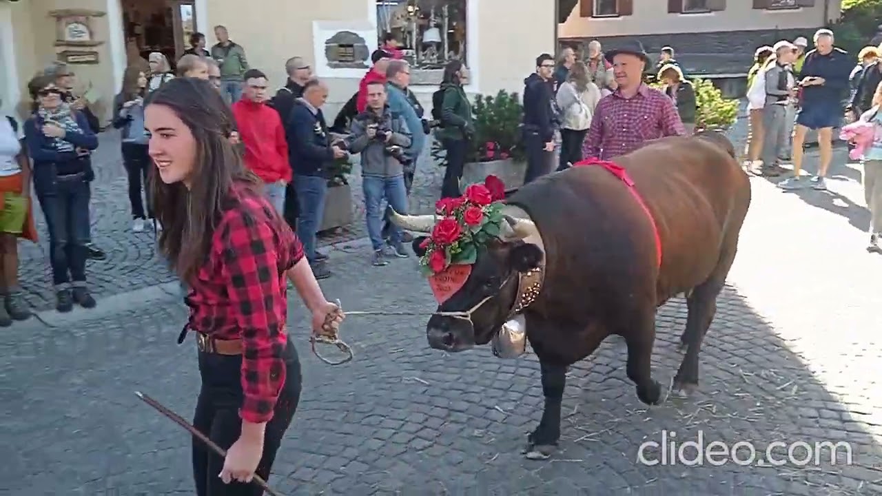 64) - Devétéya a Cogne ed escursioni nel Parco Nazionale del Gran Paradiso- La transumanza - Parte 2