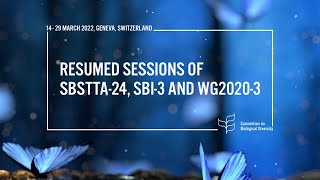 (English)  19 March 2022 10:00 to 13:00 (CET) - Plenary for SBSTTA-24