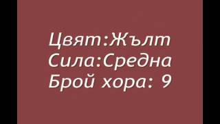 Disney Channel Hd Games 2011 - In Bulgaria 1080P.