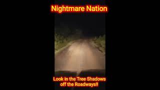 Ride-Along Series #009 Sabine River bottoms Area 2 New Road