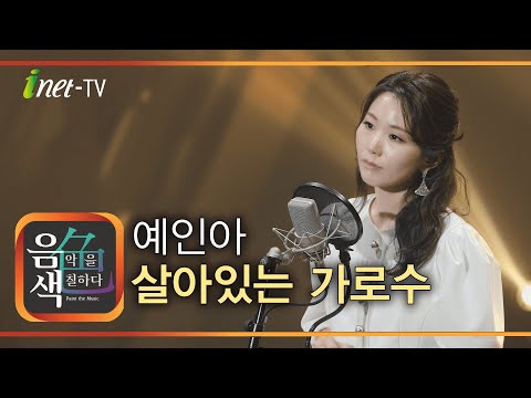 예인아 - 살아있는 가로수 [아이넷TV 음색]