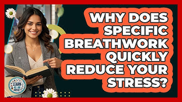 Why Does Specific Breathwork Quickly Reduce Your Stress? - Learn As An Adult