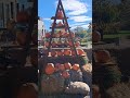 #Dekoracje na Halloween#Jesienna Dynia#Pumpkin Field in Galeria Kazimerz Krakow#Pumpkin maze#JRworld