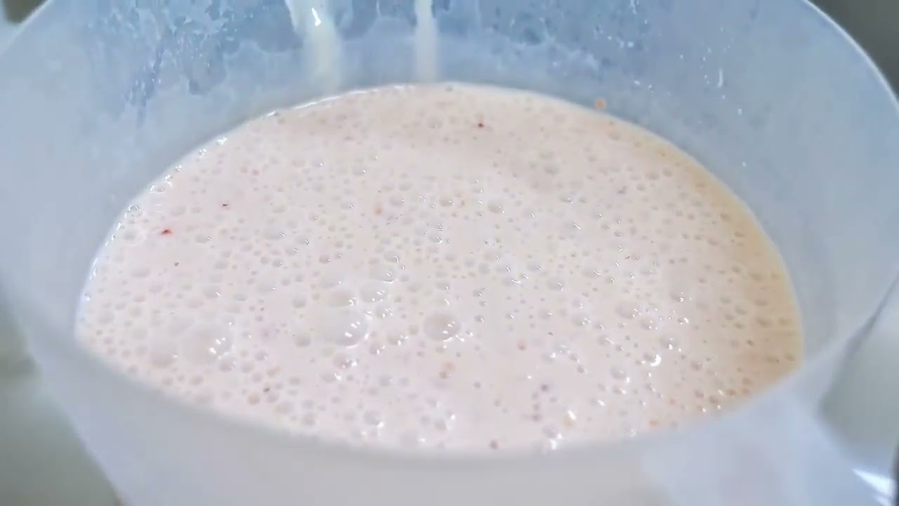 Artisanal Italian Gelato Shop: Masterful Creative Pairings with Premium Fruits