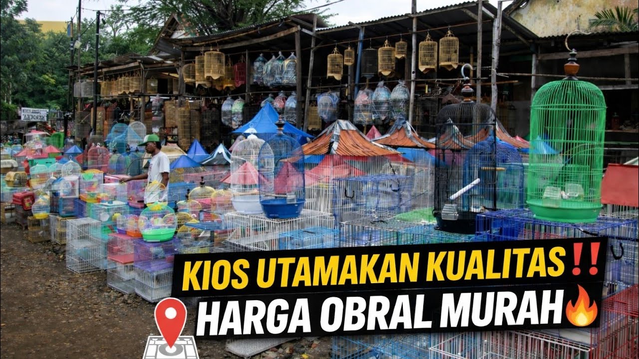 OBRAL SANGKAR BURUNG! UPDATE HARGA TERBARU DI PASAR PRAMUKA | KIOS YOGI HOMEBIRD