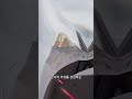 F-22 랩터의 숨겨진 힘 군사 전문가가 말하는 결정적인 중요성