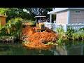 Full Complete 100% Bulldozer D20 Is Pushing Stone Into Water And Skill Diver Truck Unloading Stone