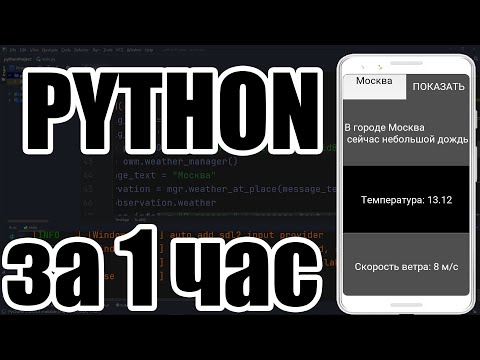Python за 1 час