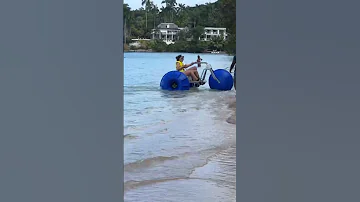 cardi b and hennesy in jamaica for offset birthday 🥳#migos #offset #cardib