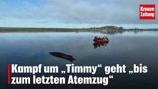 Kampf um „Timmy“ geht „bis zum letzten Atemzug“ | krone.tv NEWS