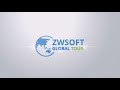 Zwsoft global tour