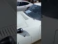 トヨタ2000GT、2台の違いわかるかな⁉️桜DE旧車in花立
