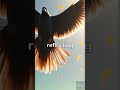 The Bible: Genesis 1 (NKJV) | Creation Story Audiobook &amp; Cinematic Narration #christianstorytelling
