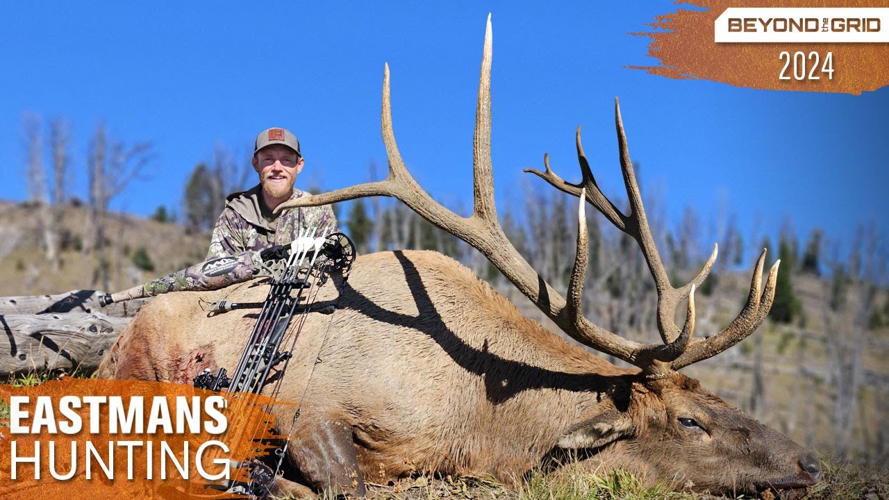 Monster Bull Walks Up to Me! Bow Hunting with Grizzlies and Wolves | Eastmans' Beyond the Grid