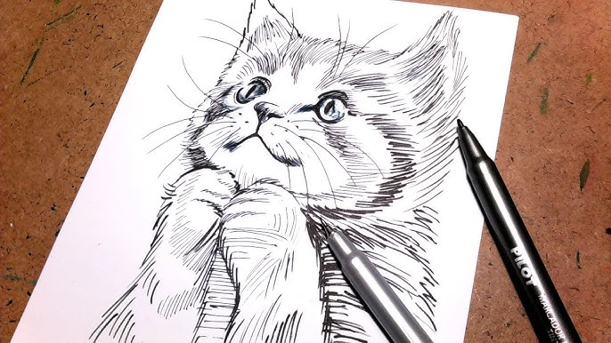 Como desenhar um gato realista usando apenas lápis de cor. 