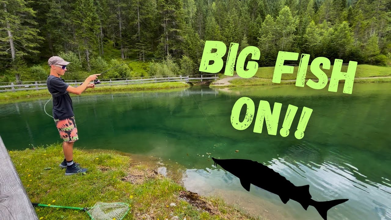 Cattura INASPETTATA a Trout Area - Spinning - SPINNING AND CARP