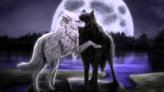 Video thumbnail of "Some kind of beautiful- Anime wolves"